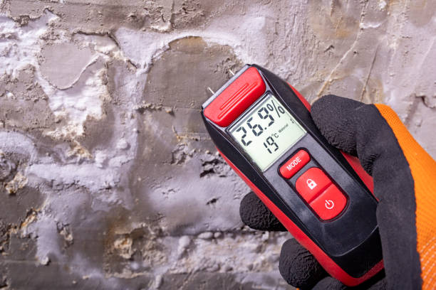 Best Mold Removal Specialists  in Hernando Beach, FL